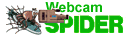 WebCam Spider Search