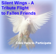 Silent Wings - A Tribute Flight to Fallen Friends